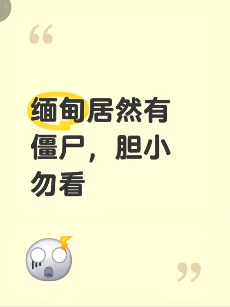 缅甸僵尸出土事件真相揭秘 - 高清视频现场全程录像 - 缅北神秘事件无删减完整版在线免费播放 - 领略缅甸僵尸出土事件全貌
