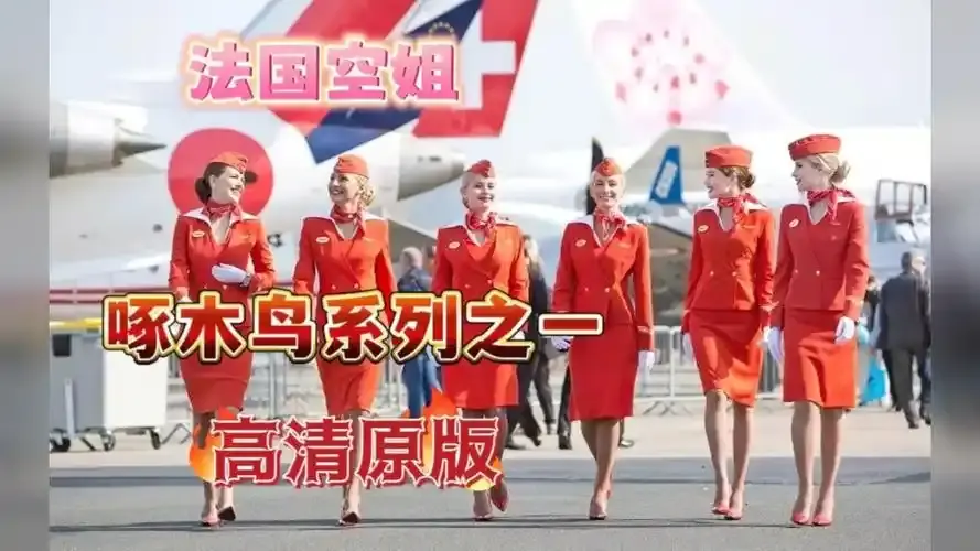 《法国空姐4》资源下载-法国空姐4免费在线观看法国完整版超高清-高清全集无卡顿4K完整版
