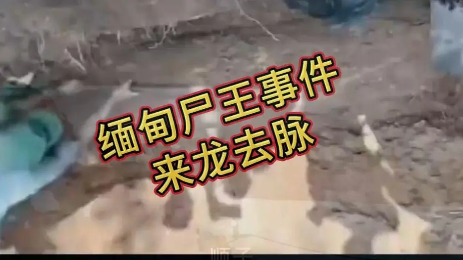 在线观看《缅甸僵尸出土事件视频》完整版资源下载 - 缅北僵尸出土事件始末原视频高清播放